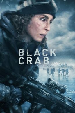 ดูหนังออนไลน์ฟรี Black Crab (Svart krabba) แบล็กแคร็บ (2022) NETFLIX