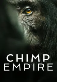 ดูหนังออนไลน์ฟรี Chimp Empire อาณาจักรชิมแปนซี (2023) Netflix