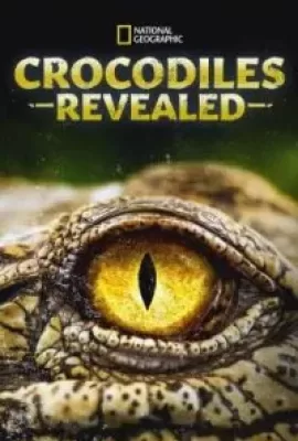 ดูหนังออนไลน์ฟรี Crocodiles Revealed (2022) บรรยายไทย